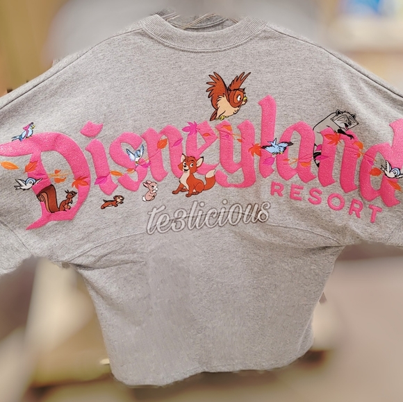 DISNEYLAND CRITTERS FOREST FRIENDS SPIRIT … - Picture 2 of 8